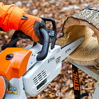 STIHL MS 193 С-Е Carving Бензопила STIHL, шина 30 см, цепь 13 RMS 11372000193, Бензопилы для карвинга Штиль